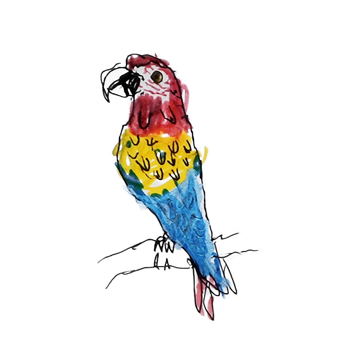 Costa Rica Jungle Print (Poster Size!)