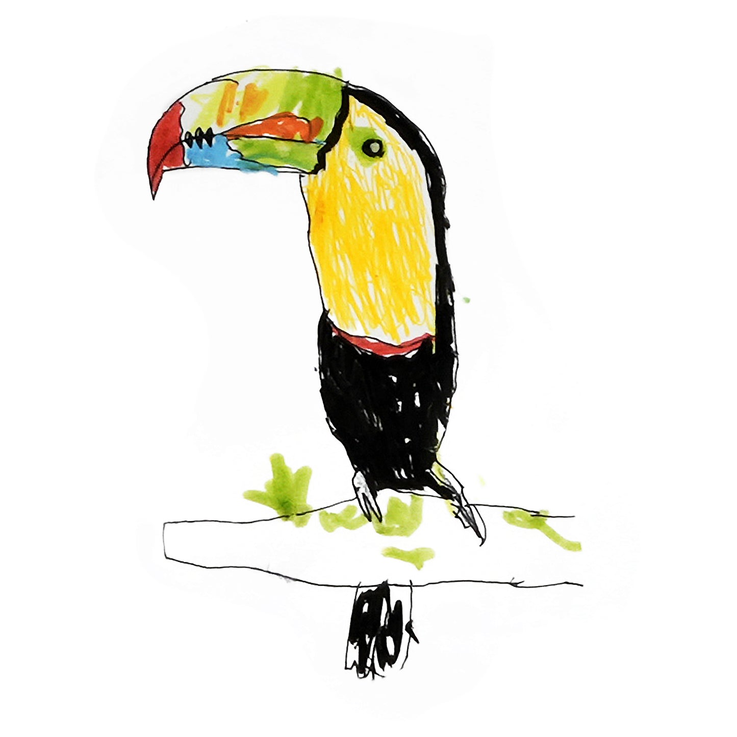 Costa Rica Jungle Print (Poster Size!)