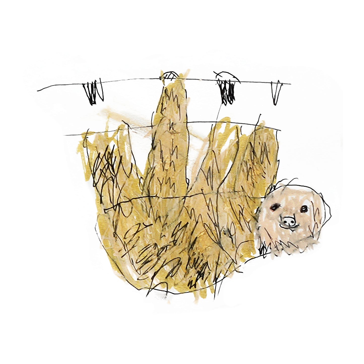 Costa Rica Jungle Print (Poster Size!)