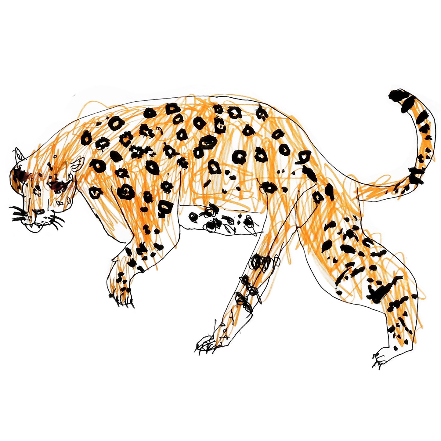 Costa Rica Jungle Print (Poster Size!)