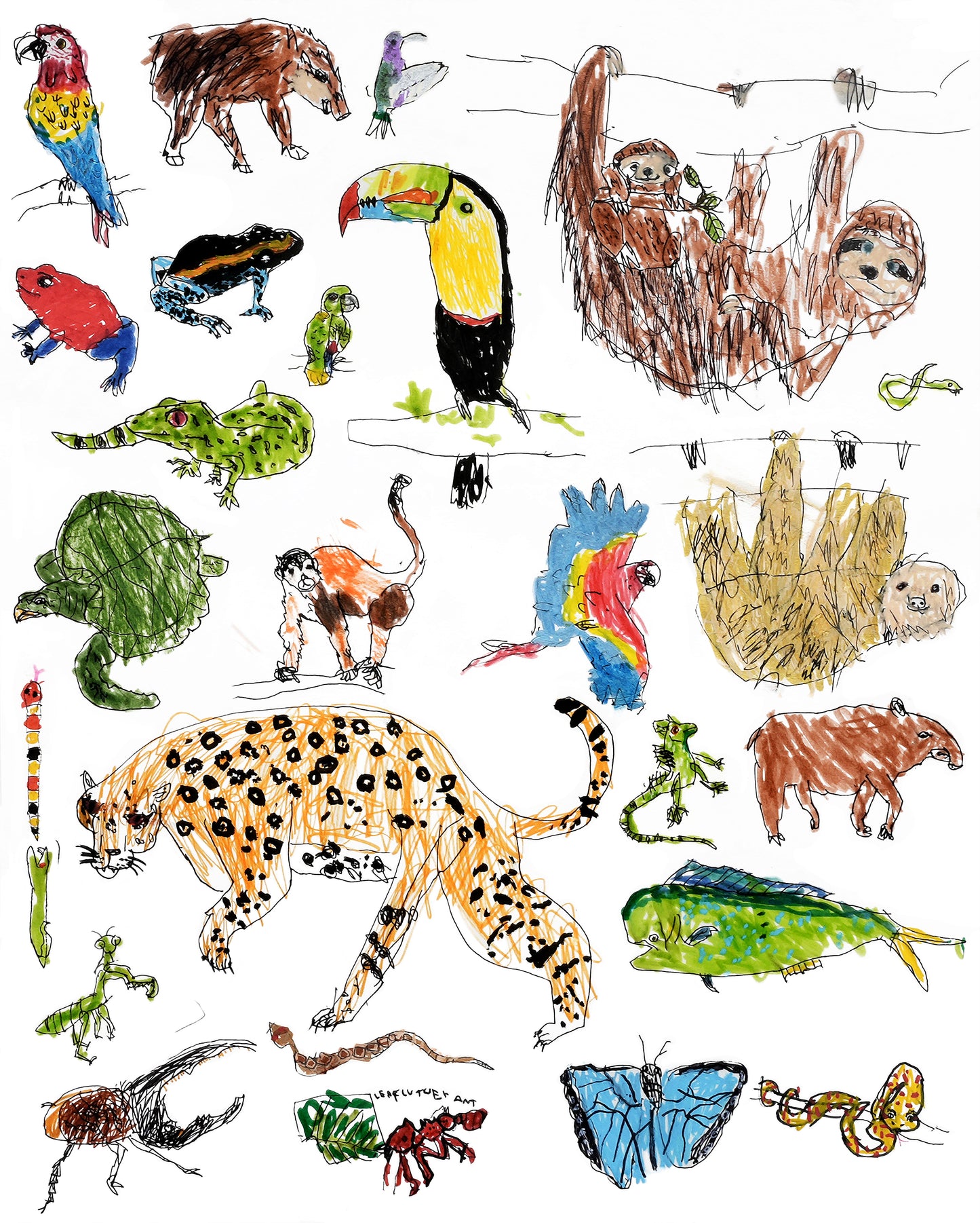 Costa Rica Jungle Print (Poster Size!)