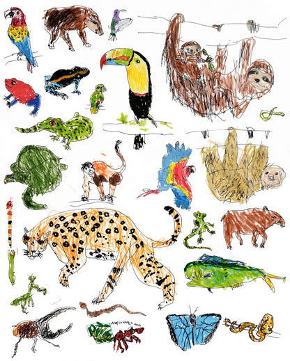 Costa Rica Jungle Print (Poster Size!)