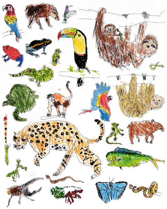 Costa Rica Jungle Print (Poster Size!)